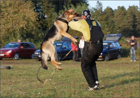 Training in Estonia 9/2007